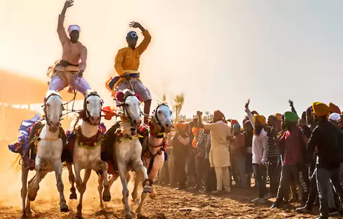 Holi Celebration Ideas From Punjab: Hola Mohalla