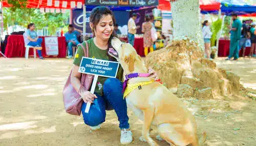 hosting a pet friendly dog event